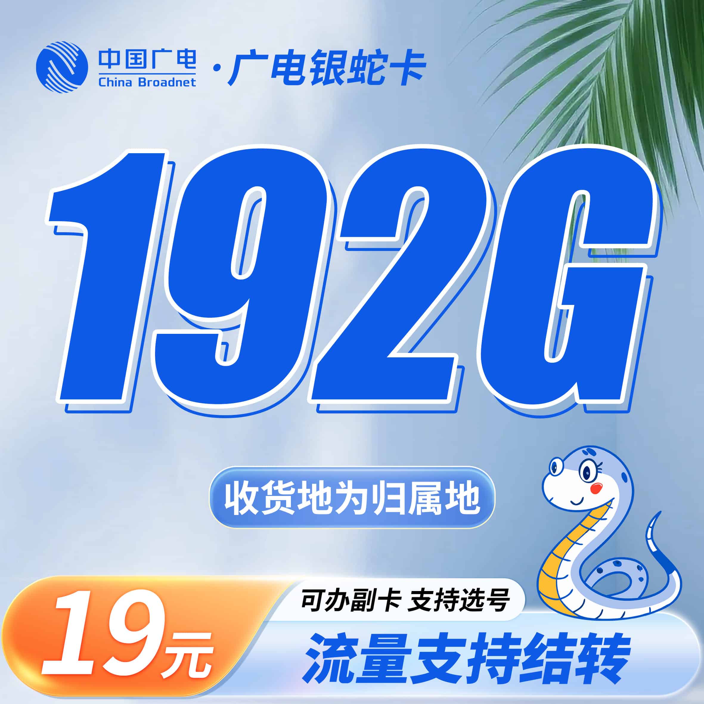 卡世界广电银蛇卡主图