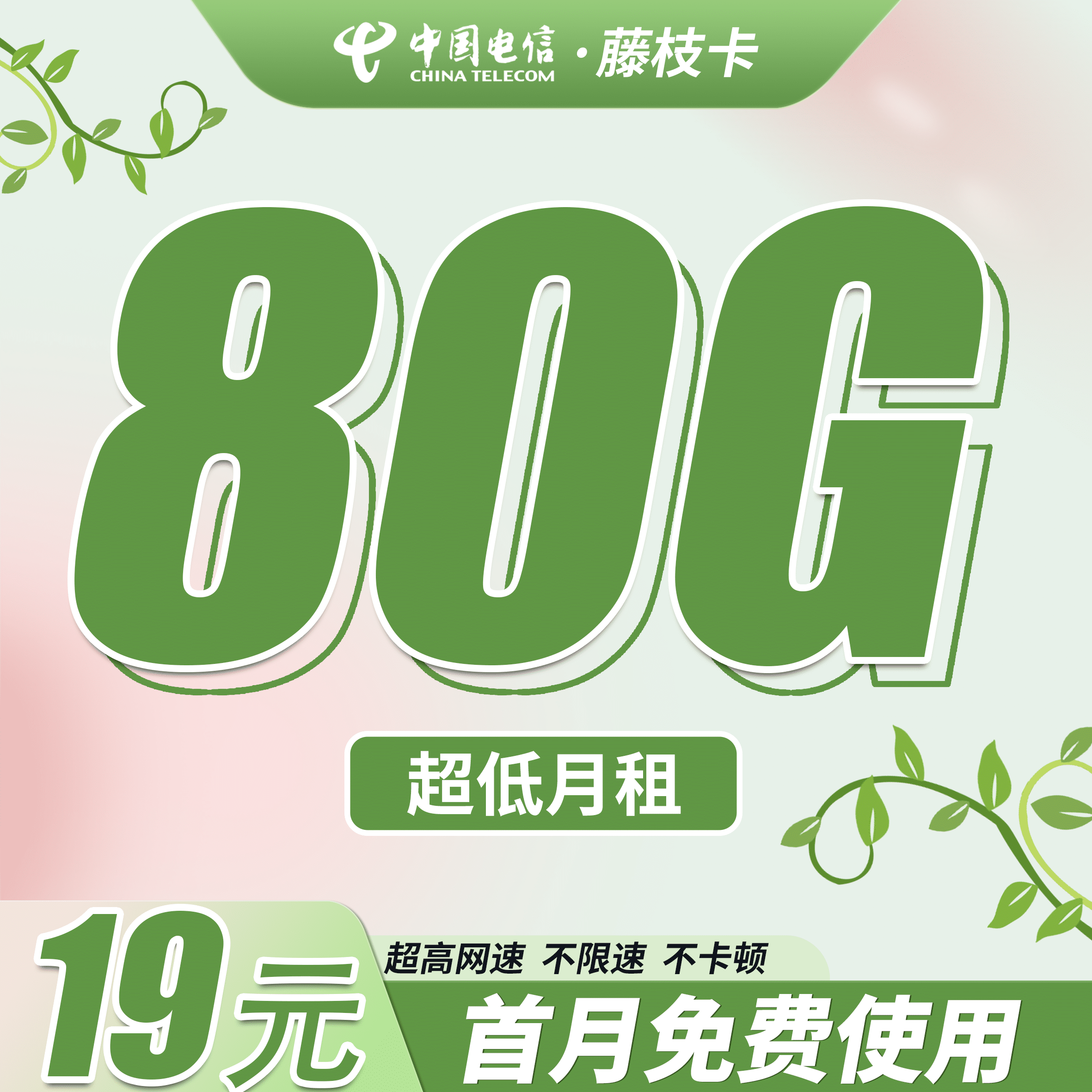 卡世界电信藤枝卡主图